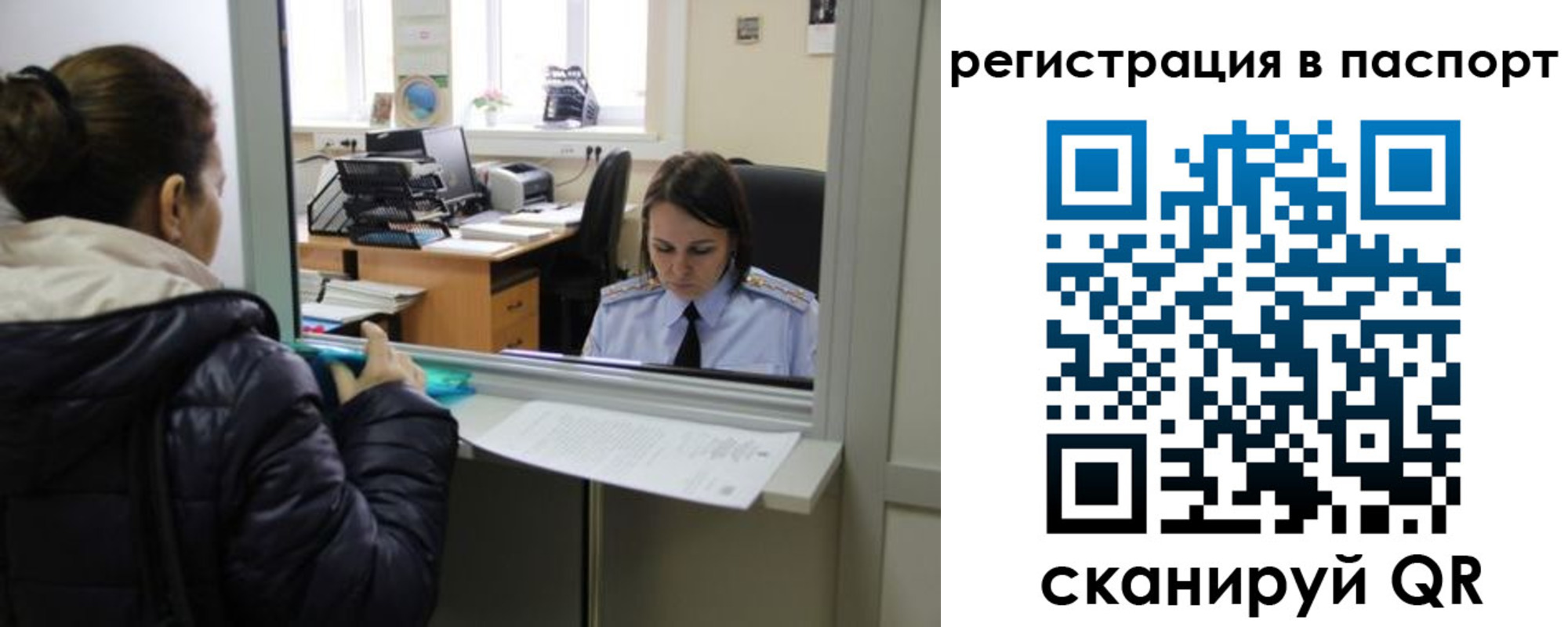 временная регистрация поиск в Королёве